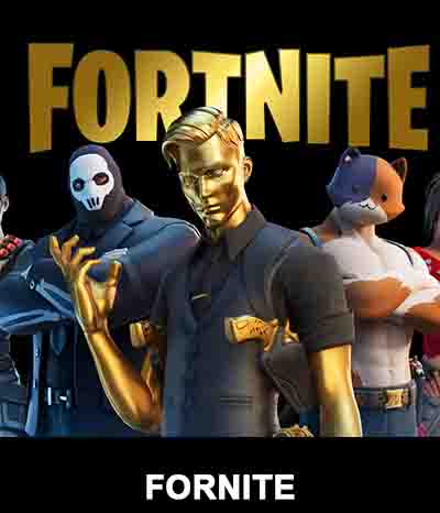 FORTNITE 703